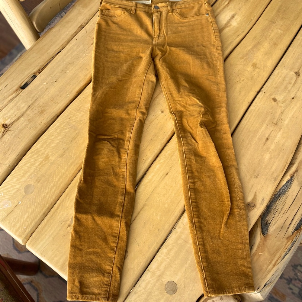 Anthropologie Pilcro Skinny Cords